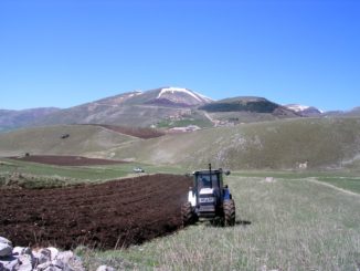 Entro fine settimana comincia semina della lenticchia a Castelluccio