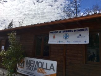 Inaugurato a Norcia il presidio veterinario, donato dall'ordine dei Veterinari