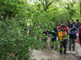 Sulle tracce della fauna selvatica