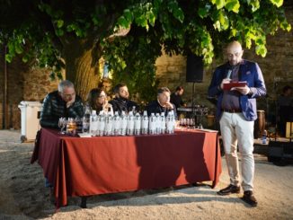 cannara, festa della cipolla