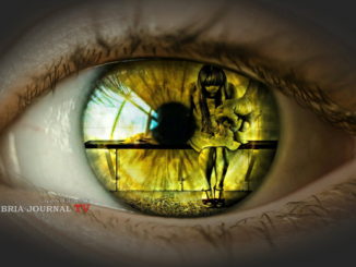 Libertas Margot quarantacinque donne seguite storie drammatiche ma piene di speranza