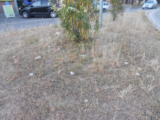 Aiuole assetate a Ponte San Giovanni, annaffiatele!