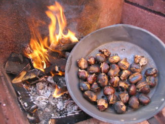 Chiusura Asili nido a Perugia, Pd, Regione toglie castagne dal fuoco eh