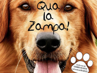 Qua la zampa, in programmazione al Frontone cinema all'aperto