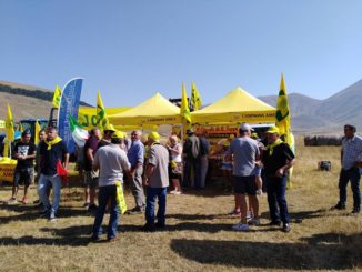 A Castelluccio di Norcia cominciata la raccolta della lenticchia