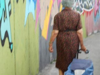 Sciame di vespe assale anziana signora a Ponte San Giovanni
