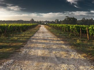 STRADA DEL SAGRANTINO