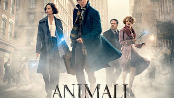 Animali fantastici e dove trovarli al Frontone Cinema all'aperto [VIDEO]