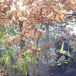 Incendi a Gualdo Tadino, diverse squadre dei vigili del fuoco a lavoro