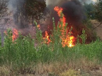 Incendio di Moiano, continua l'opera di bonifica dei vigili del fuoco