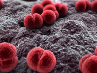 Meningite bambina fuori pericolo la piccola colpita durante vacanza in Toscana