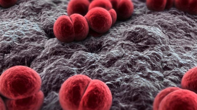 Meningite bambina fuori pericolo la piccola colpita durante vacanza in Toscana