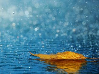 Ancora caldo afoso, ma arriva perturbazione atlantica, possibili piogge
