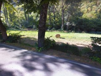 Al via i lavori per la riapertura della strada provinciale 209 Valnerina