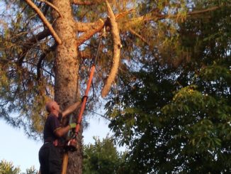 Ragazzi del Campetto a Pieve di Campo han chiamato i Vigili del Fuoco