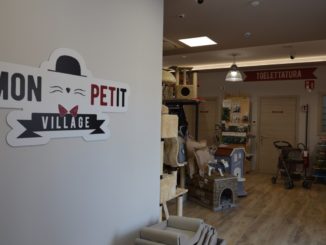 Mon petit village