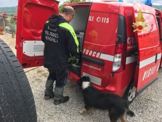 Lieto fine, ritrovata donna scomparsa dalla zona di Città di Castello, sta bene