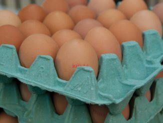 Uova contaminate da Fipronil, ancora un caso in Umbria
