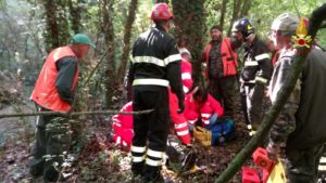Caccia troppi morti. Il WWF scrive al Ministro, a Prefetti e assessore 