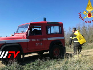 Cacciatore muore durante una battuta di caccia a Parrano
