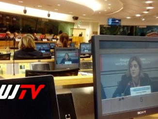 Riduzione rischio da disastri naturali, Marini a convegno di Bruxelles