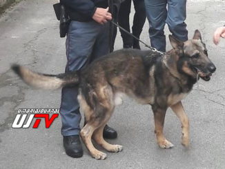 Lotta allo spaccio di droga tra i giovani a Terni, occhio che c’è Alek