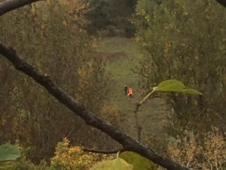 Cacciatori sparano a cento metri dalle case, succede a Perugia