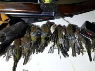 A Protte di Spoleto, come in Vietnam, in guerra con la natura