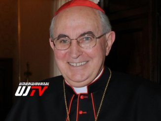 Cardinal Vallini Legato Pontificio Basiliche di Assisi, prime dichiarazioni