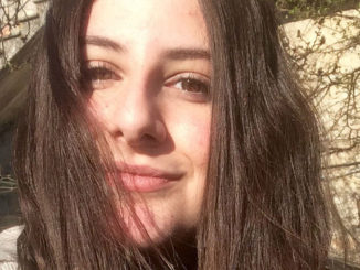 Il tuo pericoloso sorriso il libro di Arianna Mechelli