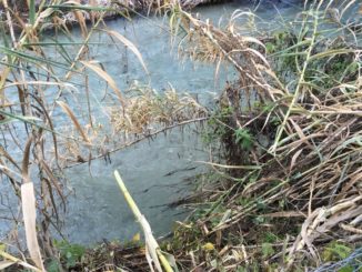 Deperimetrazione aree esondabili del fiume Nera, pronto il progetto. Melasecche: "azioni fondamentali per lo sviluppo dell’area”