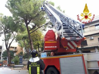 Maltempo Umbria, alberi caduti e incendi in provincia di Perugia