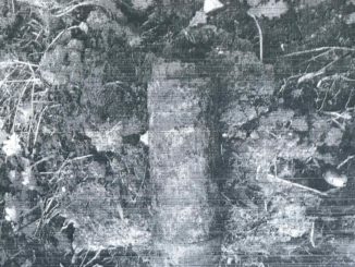 Ordigno bellico inesploso scoperto in un terreno della campagna di Magione