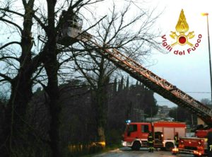 Maltempo e forte vento, una decina gli interventi dei vigili del fuoco di Terni