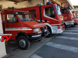 Caldo, allarme insetti in tutta la provincia, circa 50 gli interventi di cattura del 115