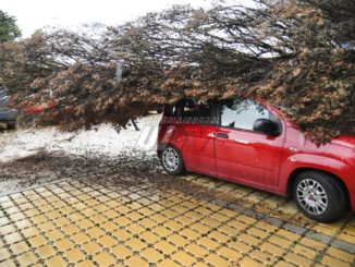 Un albero si schianta sopra due auto in via Don Bosco a Perugia