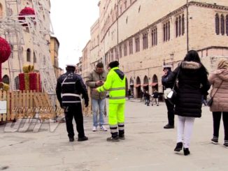 Veicolo della Gesenu si sfrena e si ferma sull'albero di Natale in centro a Perugia