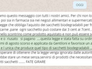 Sacchetti biodegradabili e il loro costo, scatta la polemica sul profilo della Marini