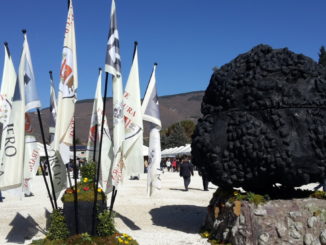 Nero Norcia 2016