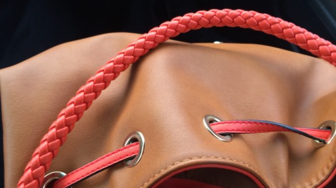 Ruba borsetta costosa in boutique di Corciano, denunciata serba da Polizia