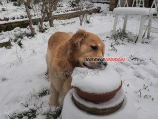 Meteo, bomba di neve in Italia, ecco quali città colpirà