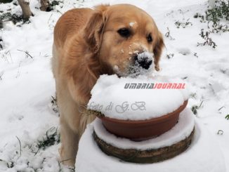 Maltempo, bollettino, nevicate da domenica sera in Umbria sopra 400-600