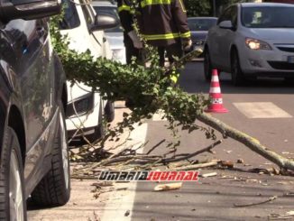 Pianta si schianta su due auto a Ponte san Giovanni, nessun ferito