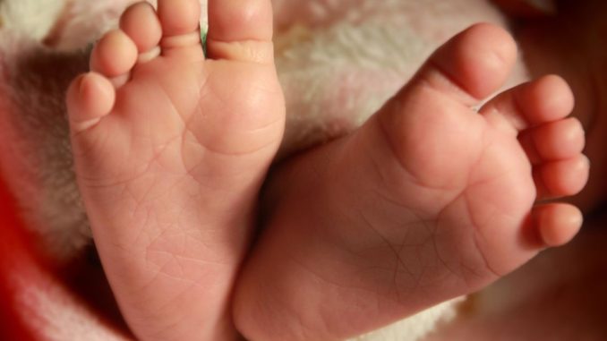 accademia di pediatria