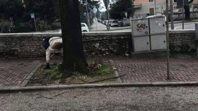 Defeca in parco pubblico a Foligno, CasaPound denuncia sui social