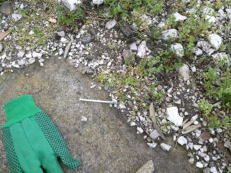 Bastia Umbra, siringhe usate, rifiuti e degrado alla stazione, CasaPound fa pulizia