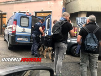 Lotta al crimine senza quartiere a Terni, in azione cani antidroga