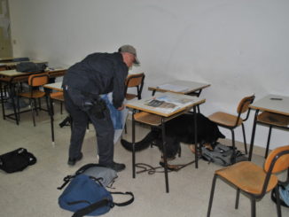 Marijuana e hashish a scuola in mezzo ai libri e zaini, beccati due studenti