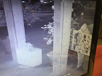 Striscioni fascisti Forza Nuova davanti sindacati, Pd, azione intimidatoria