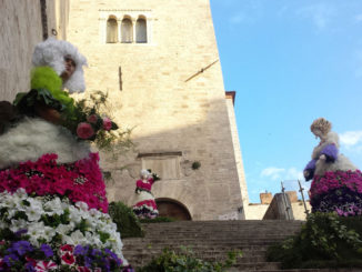Todi Fiorita: giardino sostenibile, piante officinali, moda, colori della musica